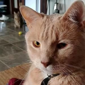 Meet your Posher, Darci